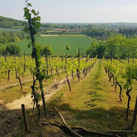 Boslucht Leuven Bed & Breakfast Heverlee Luaran gambar