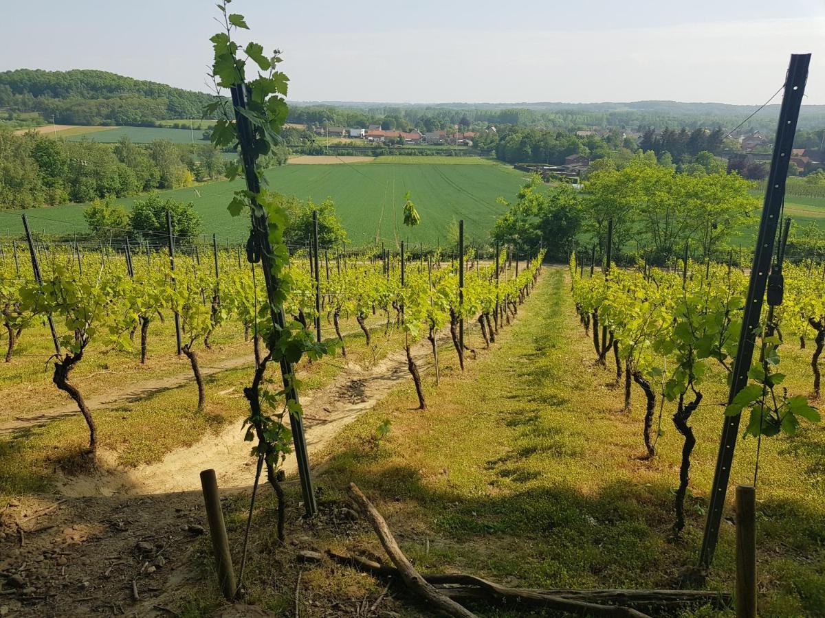 Boslucht Leuven Bed & Breakfast Heverlee Luaran gambar
