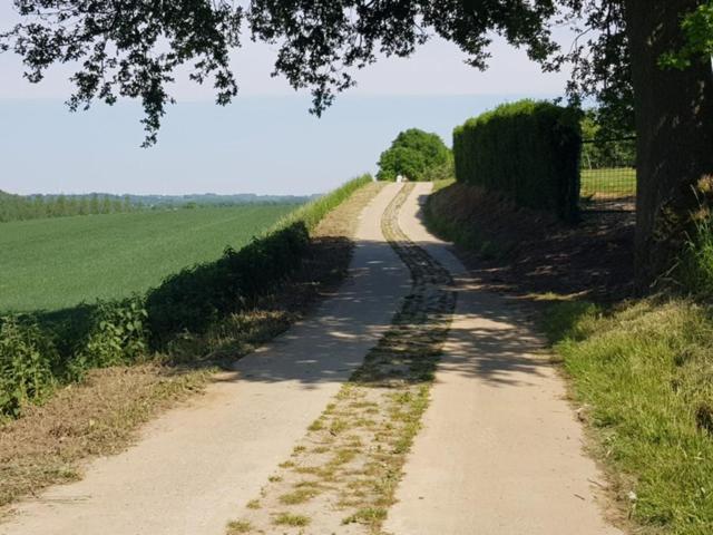 Boslucht Leuven Bed & Breakfast Heverlee Luaran gambar